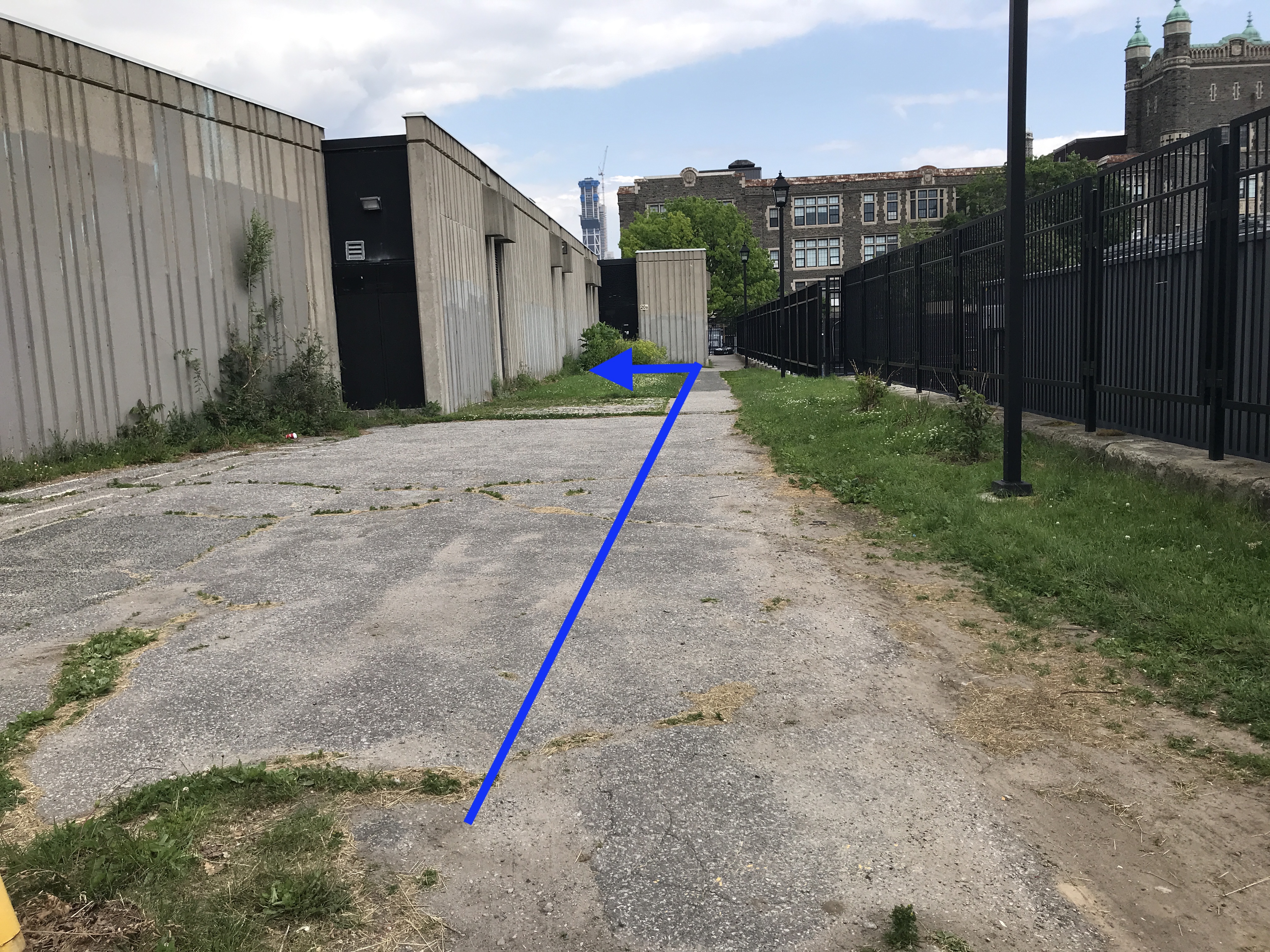 Walkway to Lab door Landscape